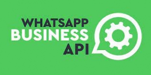 10 Useful WhatsApp Business API Use cases for your Business